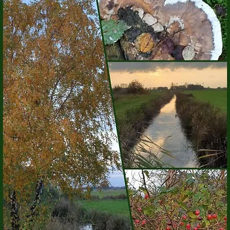 Gruessing, 15014 * Leer